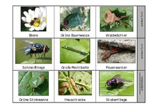 Leporello-Insekten-1-Seite-2.pdf